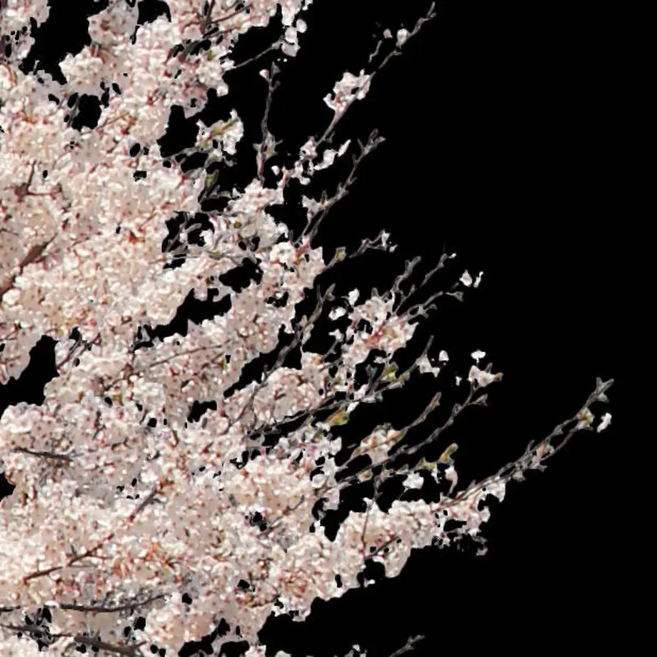 5b704b975496ff3953000097