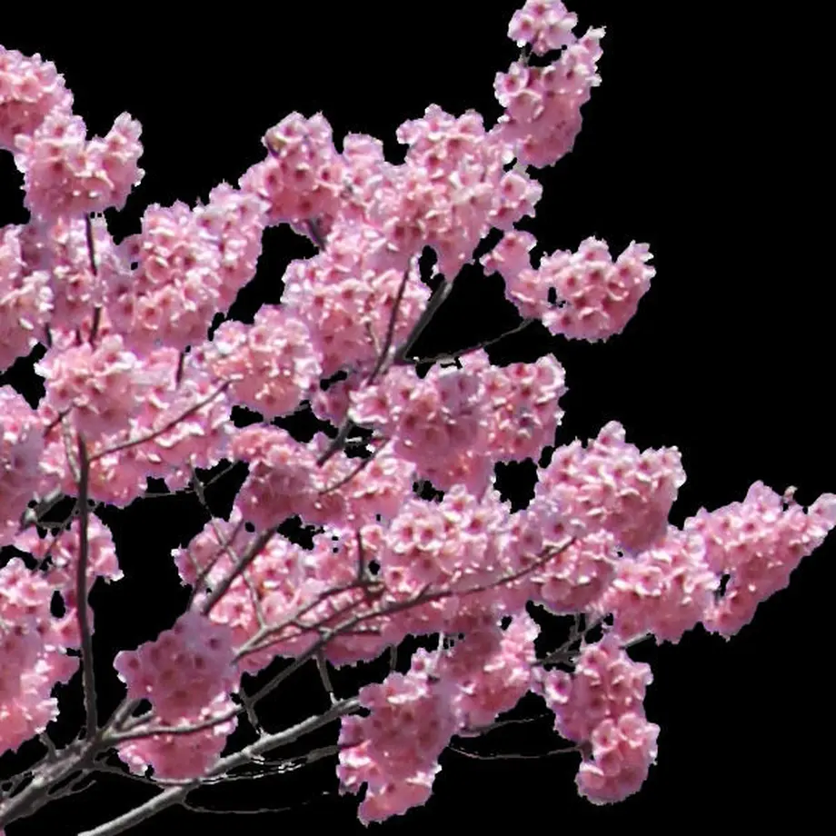 5b7048225496ff2f710002f6