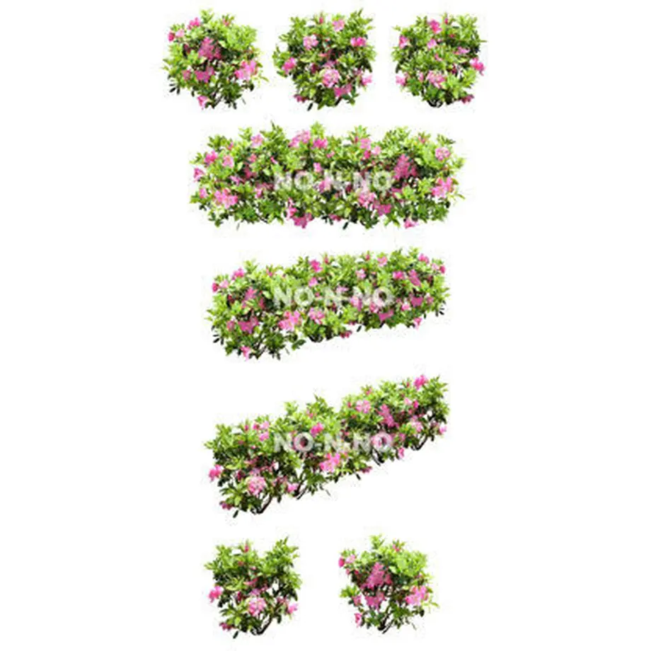5b6faf38ef843f40d90018d9