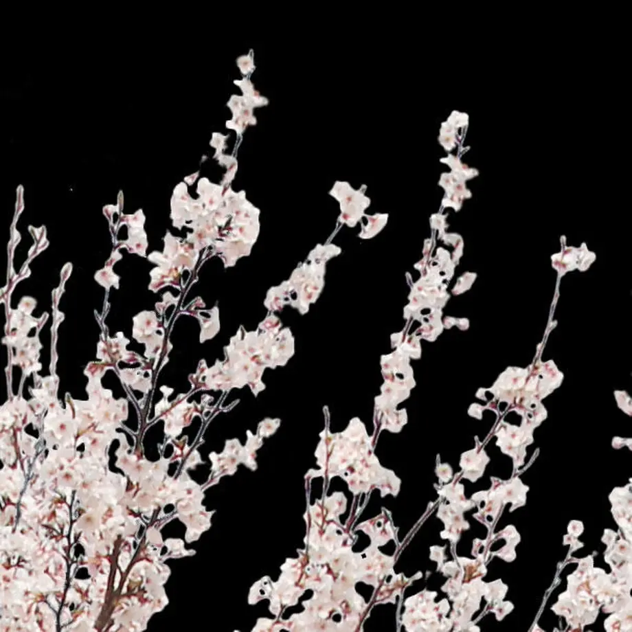 5b704b975496ff3953000097
