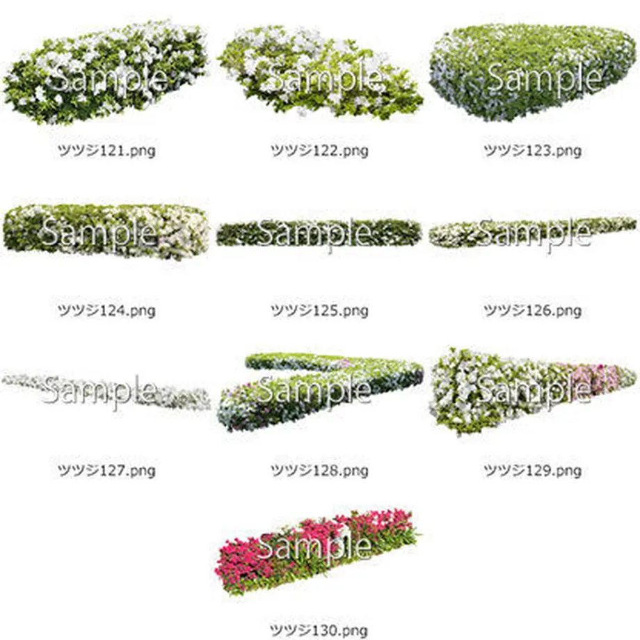5b6fc5855f78662460005d6a