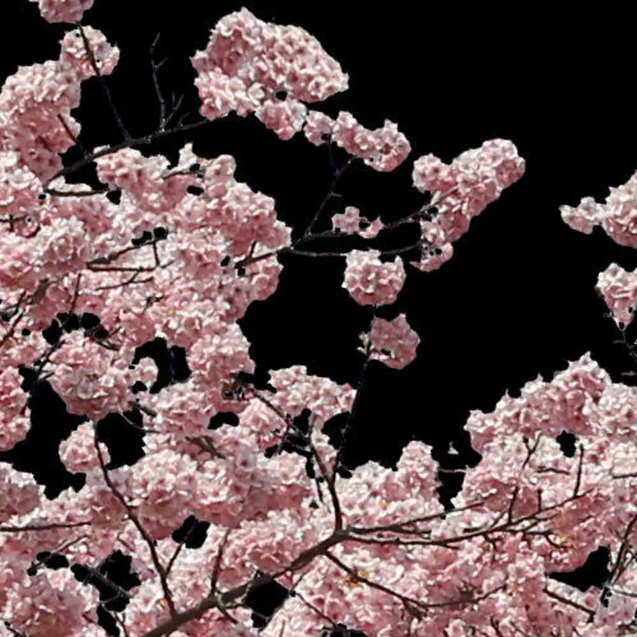 5b7058895496ff3953000445