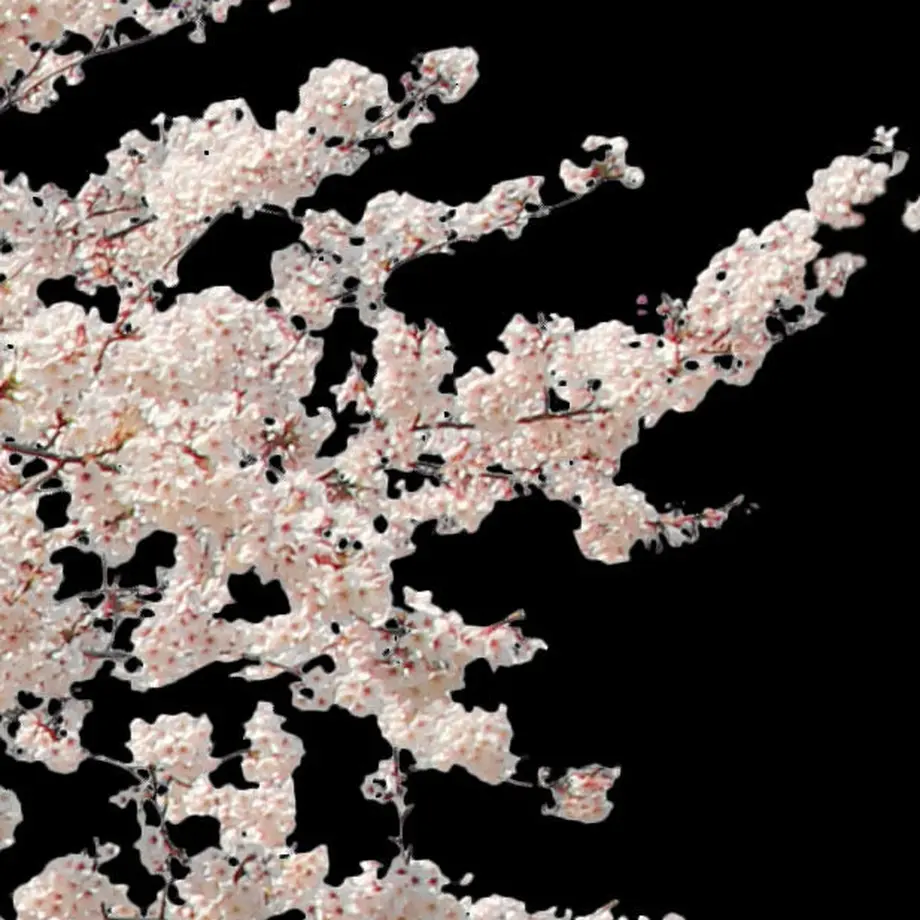 5b704c325496ff055f00511c