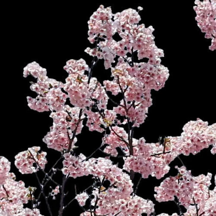 5b7058895496ff3953000445
