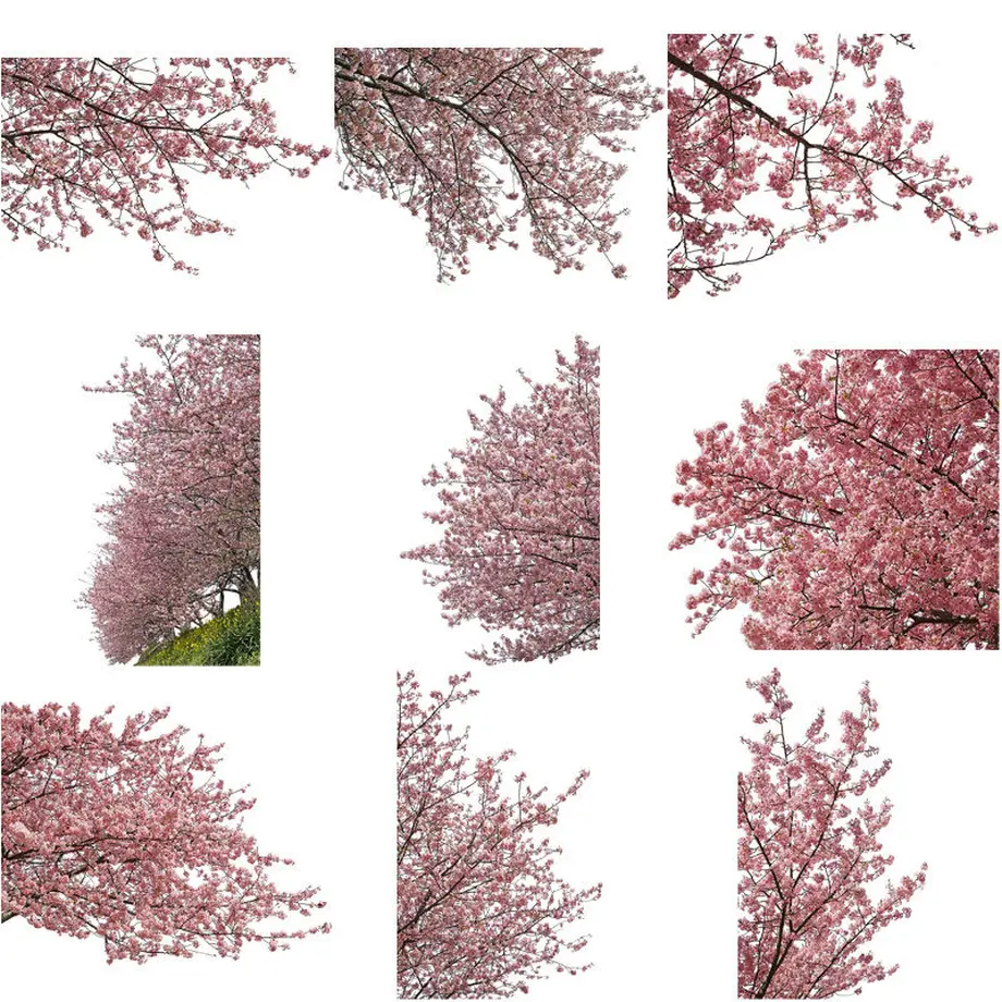 5b7056eb5496ff14d7002d85