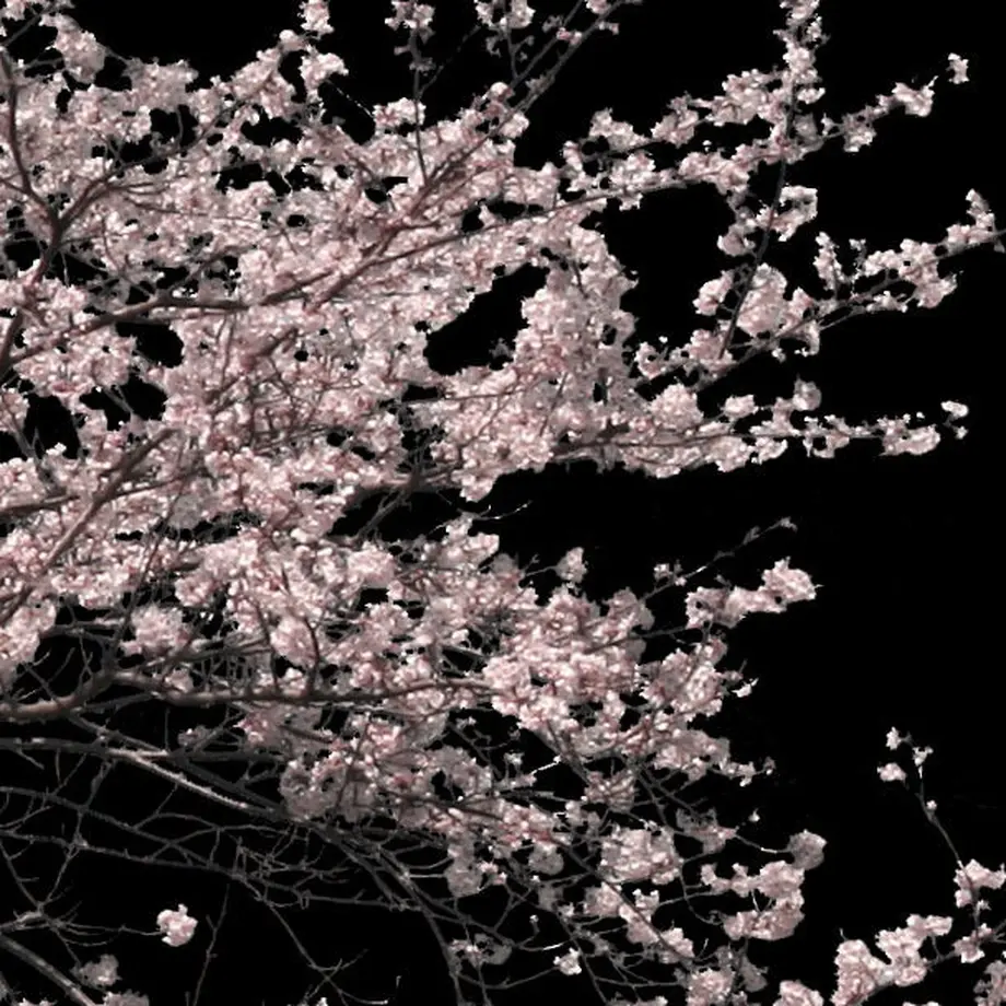 5b7048225496ff2f710002f6