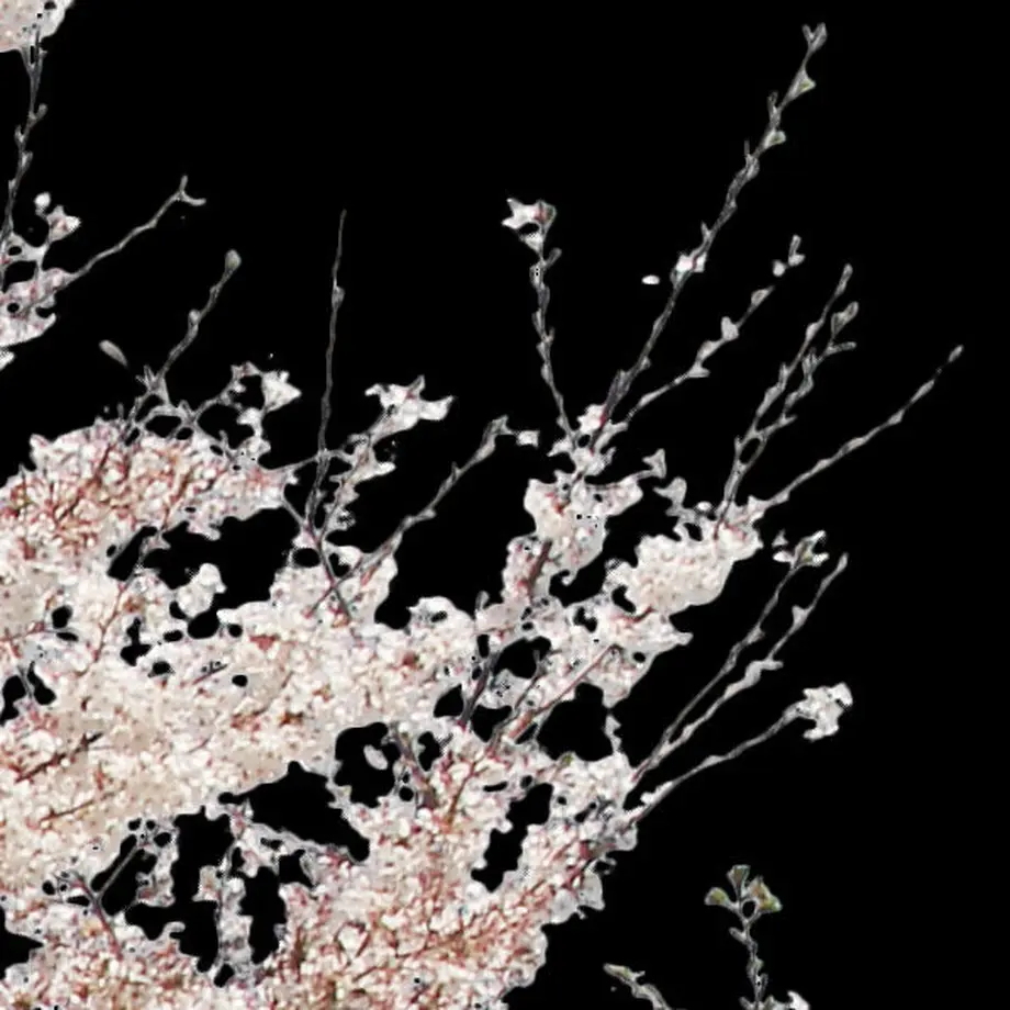 5b704b975496ff3953000097