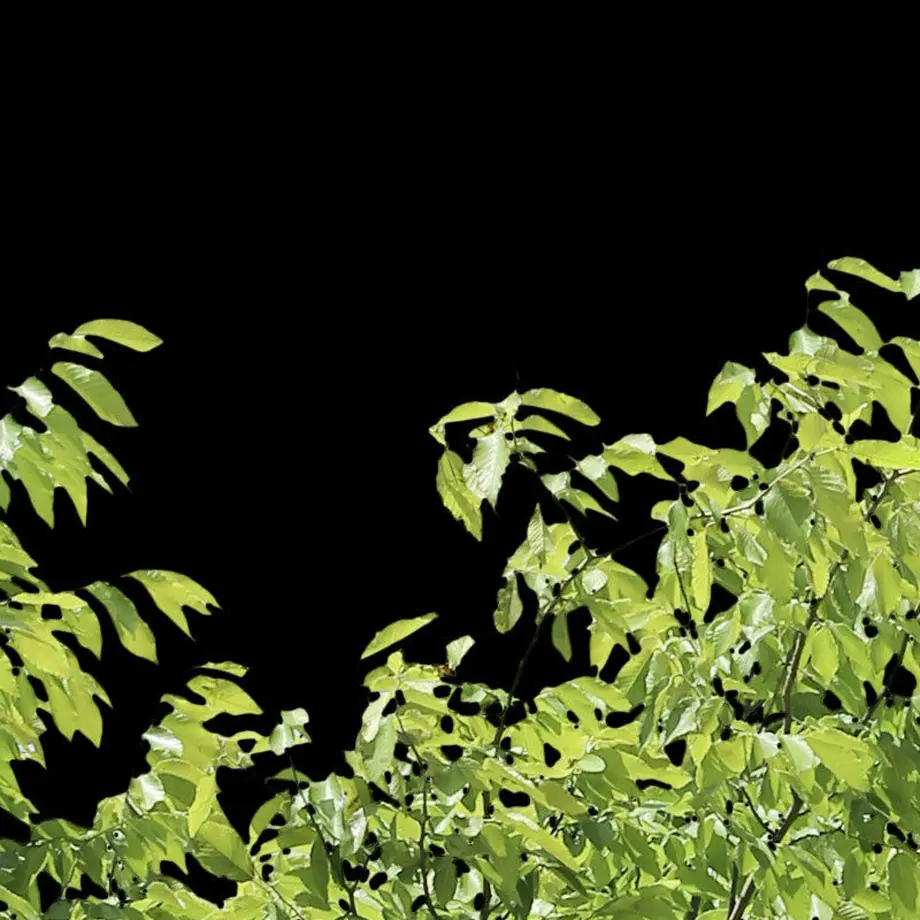 5b71171aa6e6ee43d4001f90