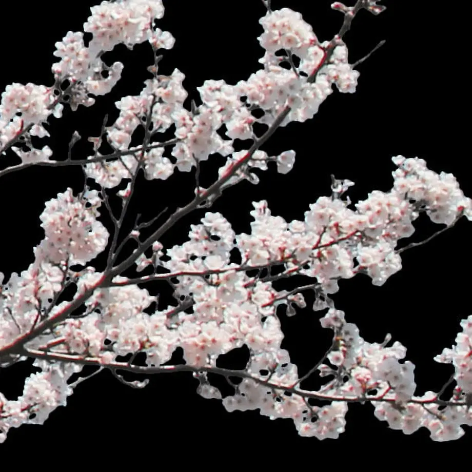 5b7050375496ff74b00043f2