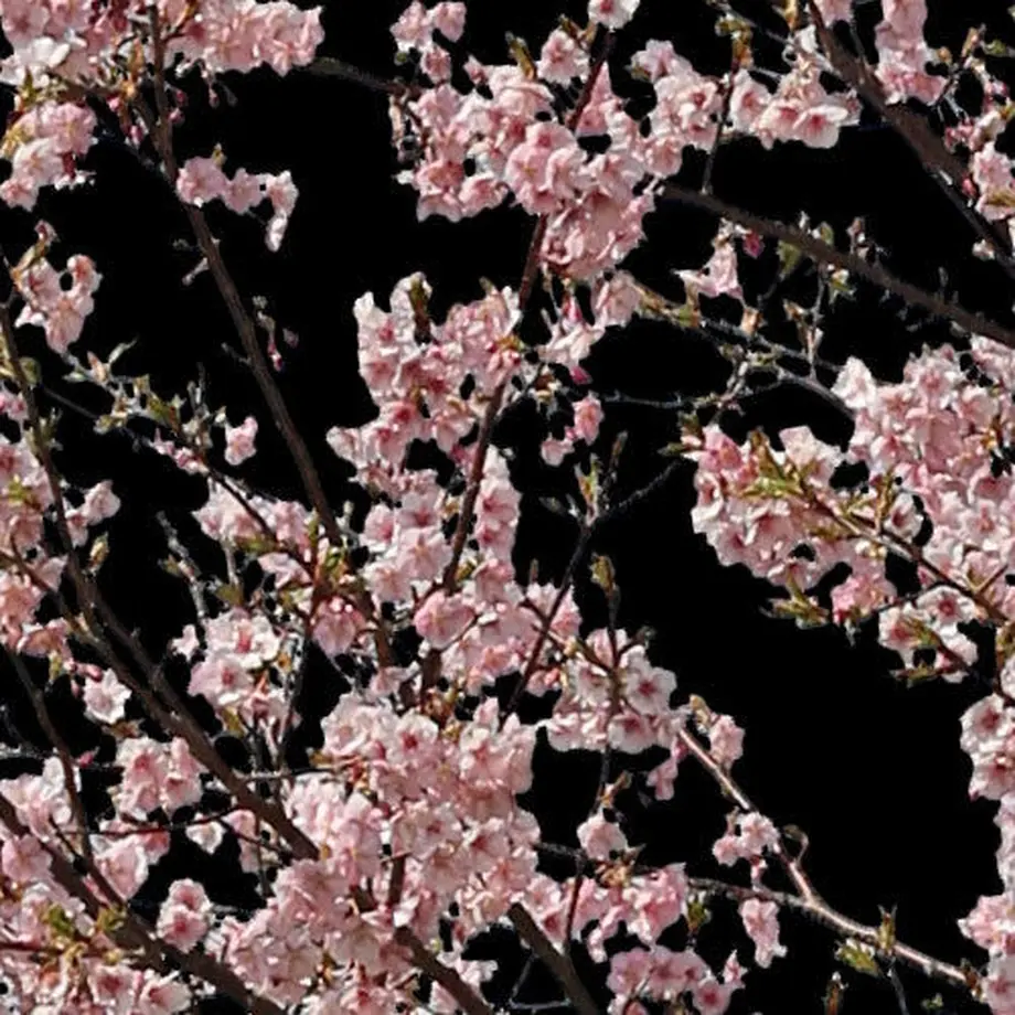 5b7058b9a6e6ee16600002f8