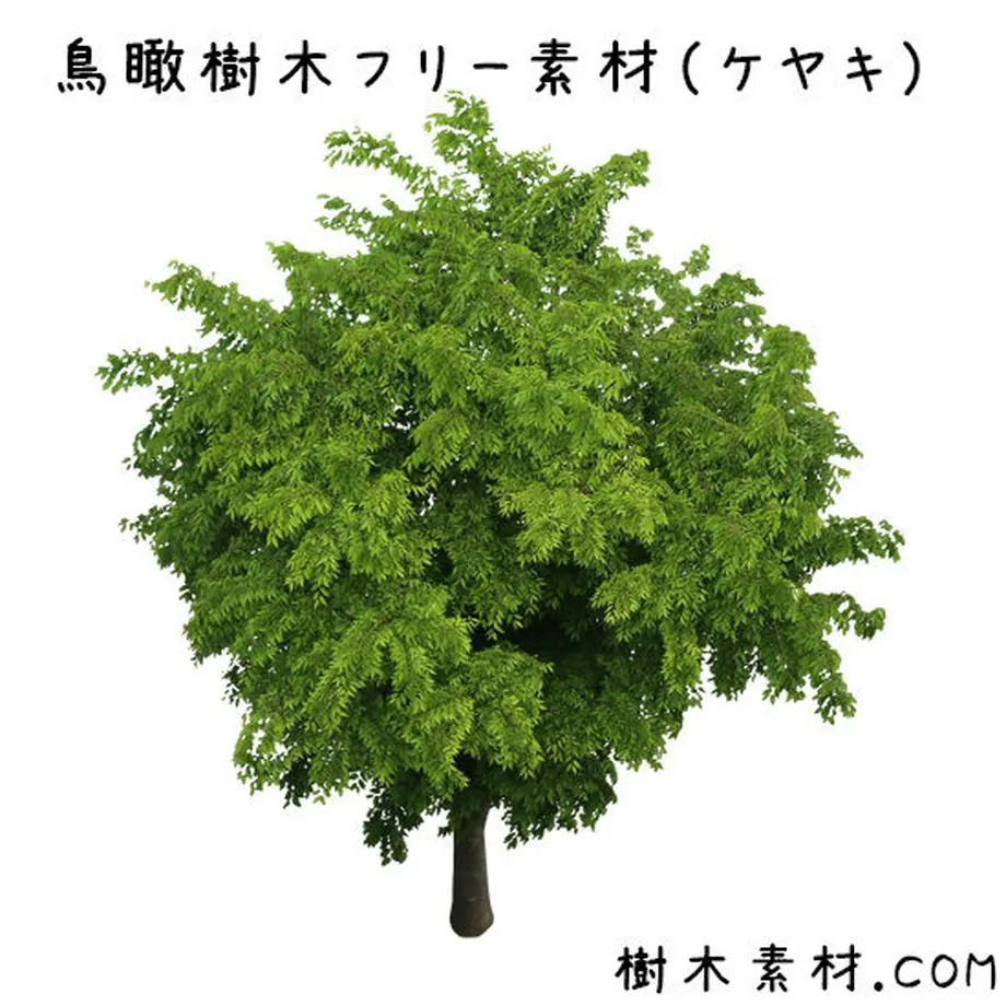 5bbec3ee5496ff43db000079