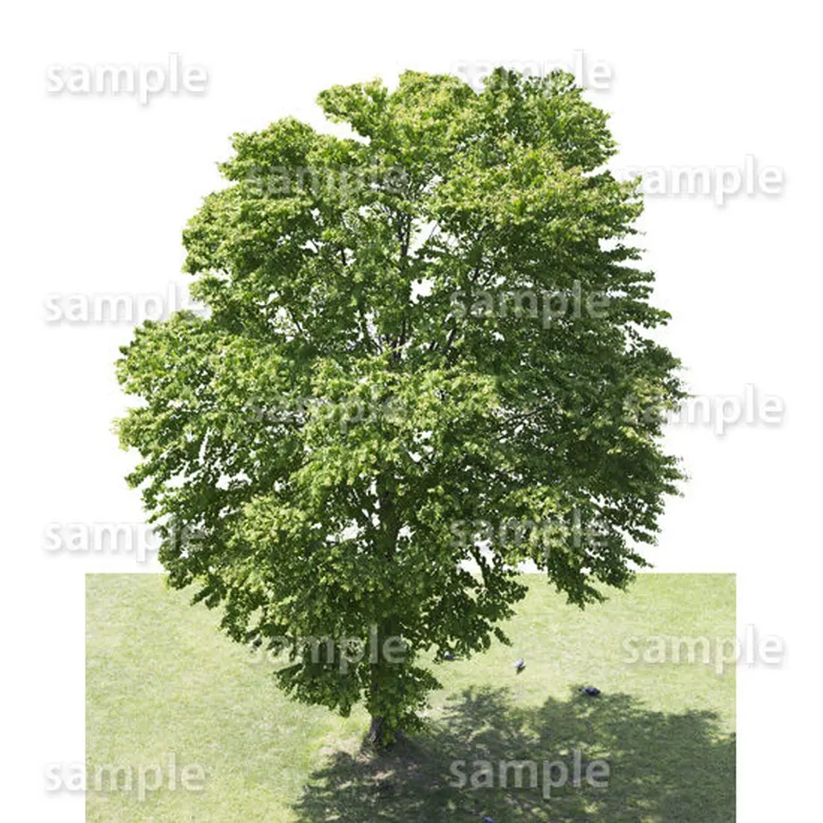 5baa0f0e5496ff40ad0009a3