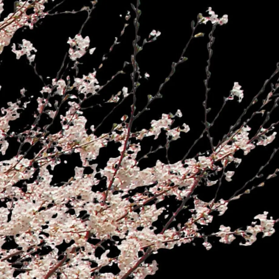 5b704b975496ff3953000097