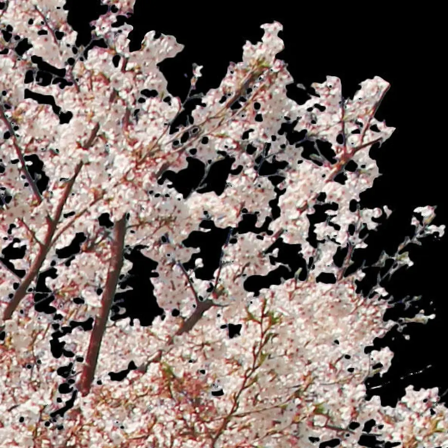 5b704b975496ff3953000097
