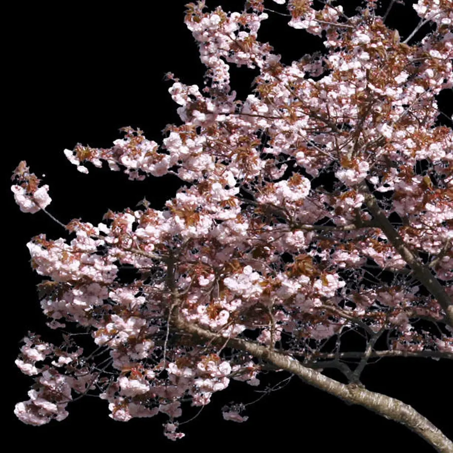 5b704964ef843f0adc001010