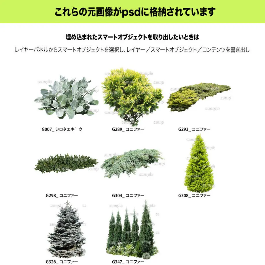 5c7fbd1c808dfa14d96d791e