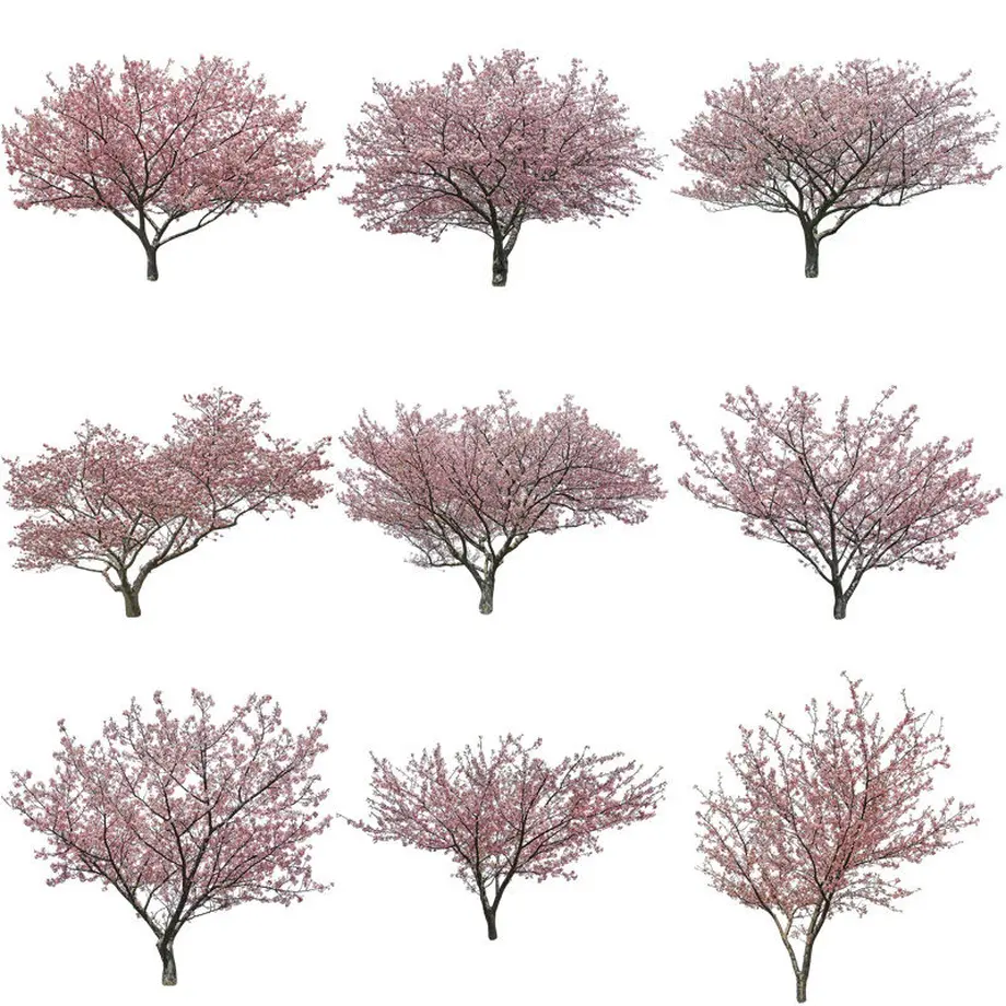 5b7058895496ff3953000445