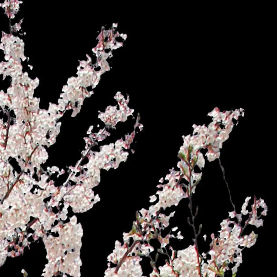 5b704b975496ff3953000097