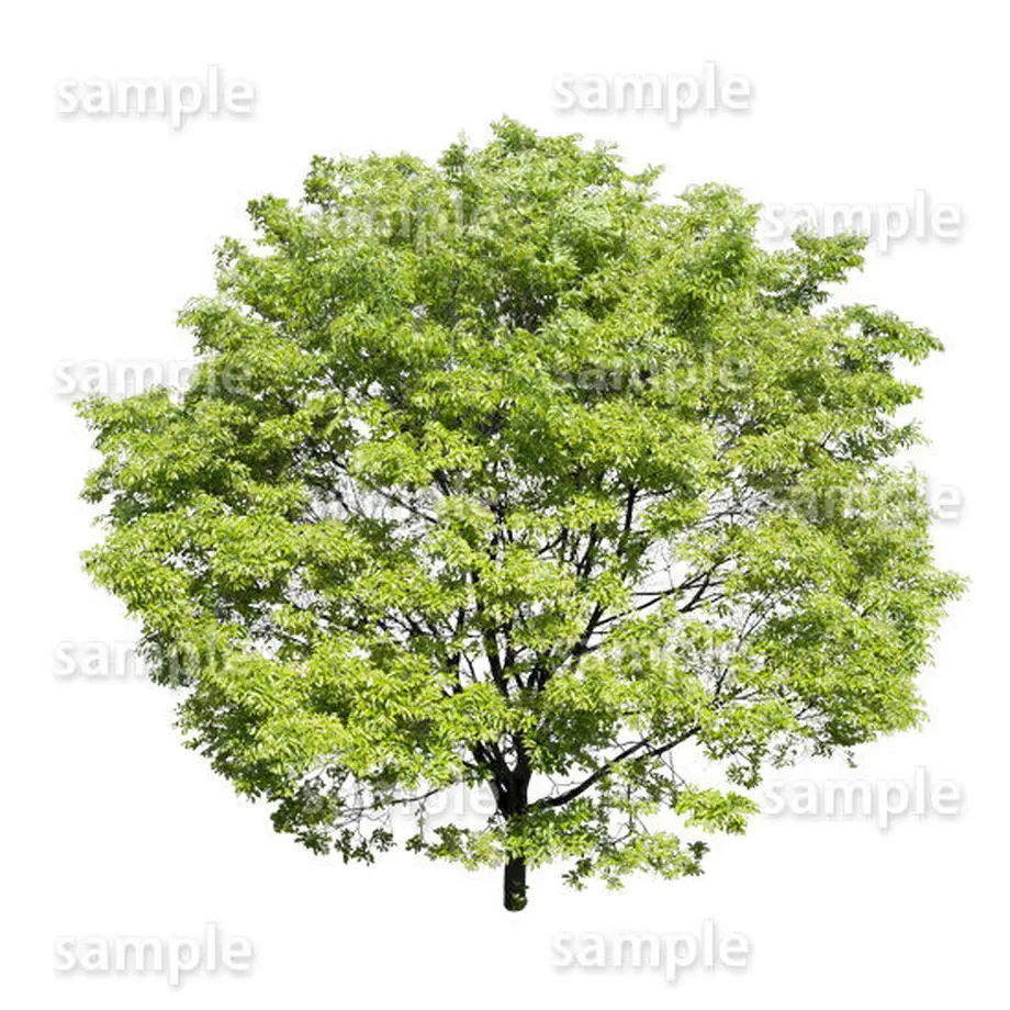 5baa0bf55496ff16560023c5