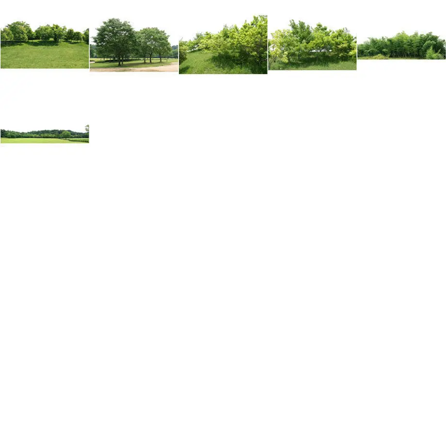 5b823754ef843f215d0047b8