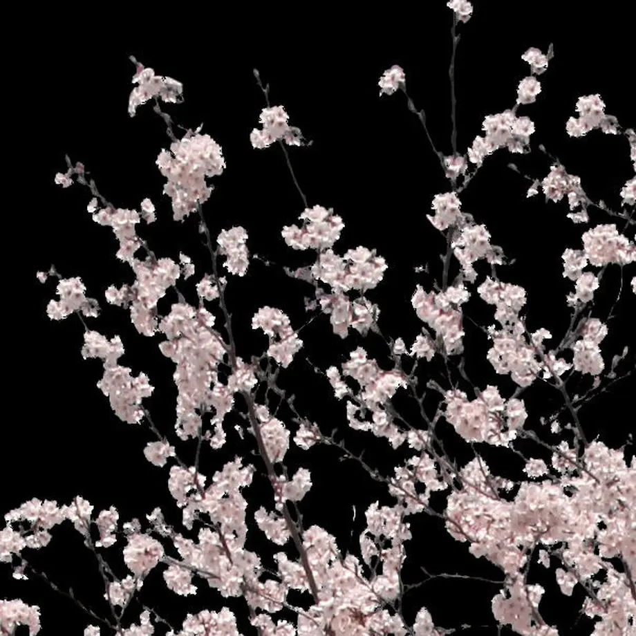 5b7048225496ff2f710002f6