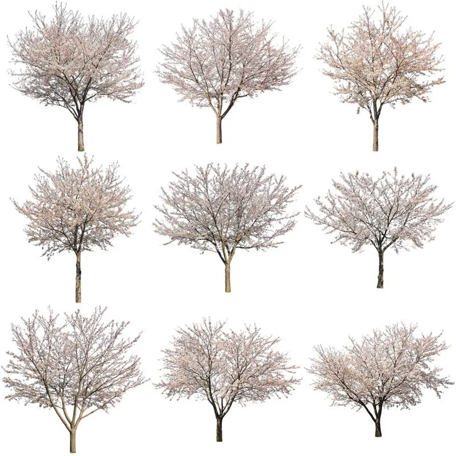 5b704bdc5496ff74b00041f7