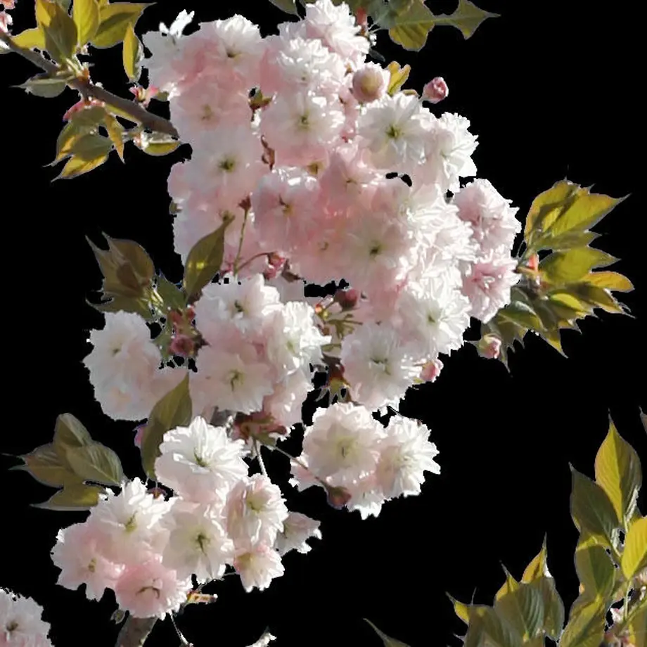 5b704a28a6e6ee581c002a64