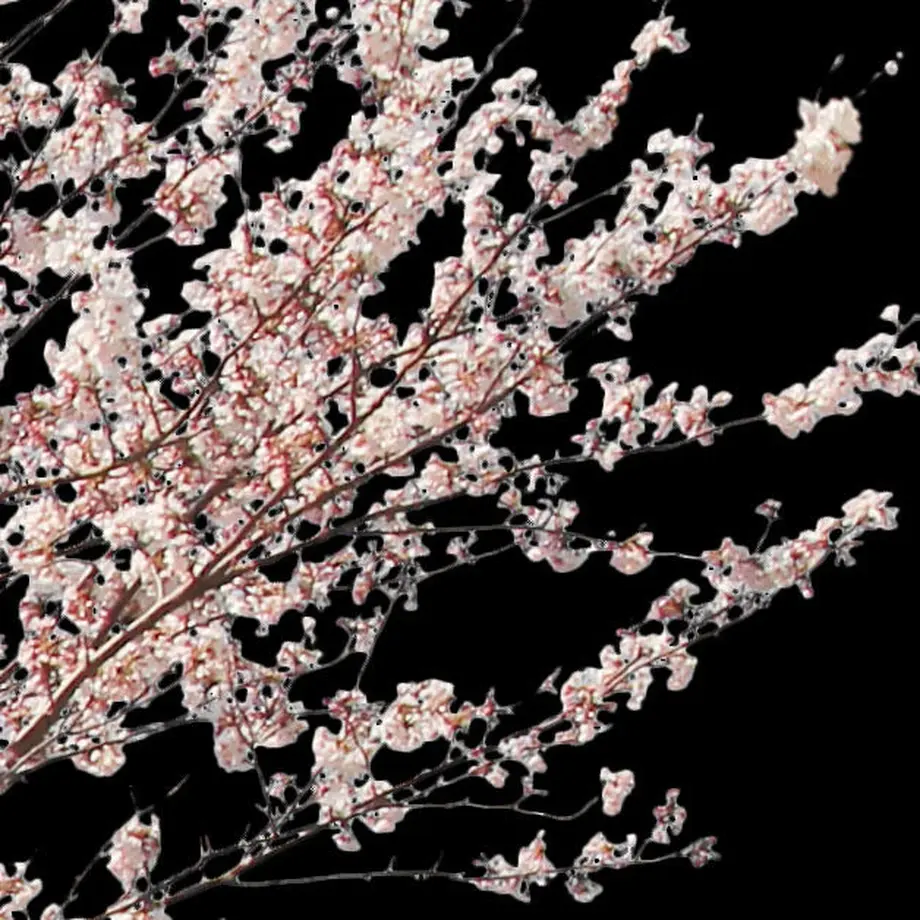 5b704c325496ff055f00511c