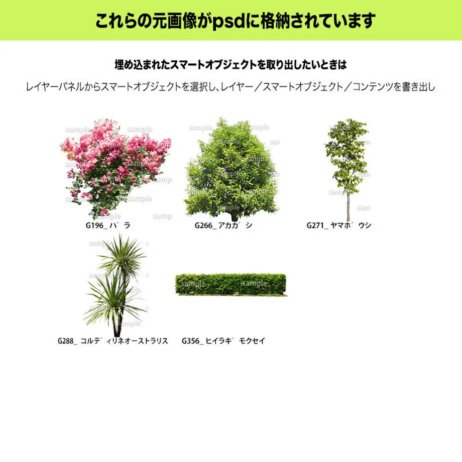 5c7fc338808dfa7d636d7868