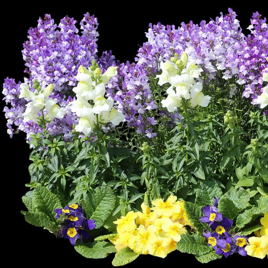 5c80bbe32ef828449bb37f6c