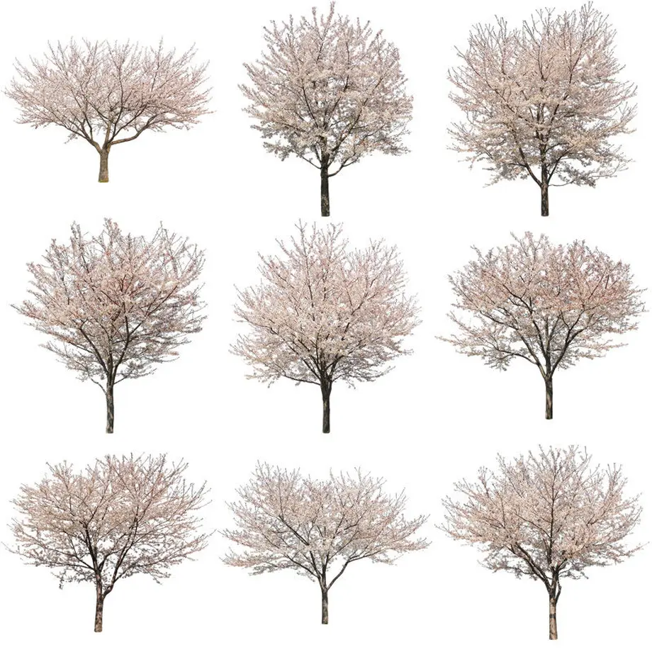 5b704b975496ff3953000097