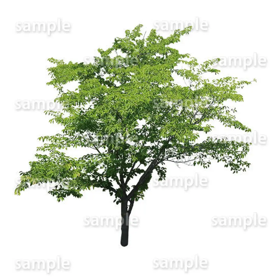 5baa1b235f786638e2001168