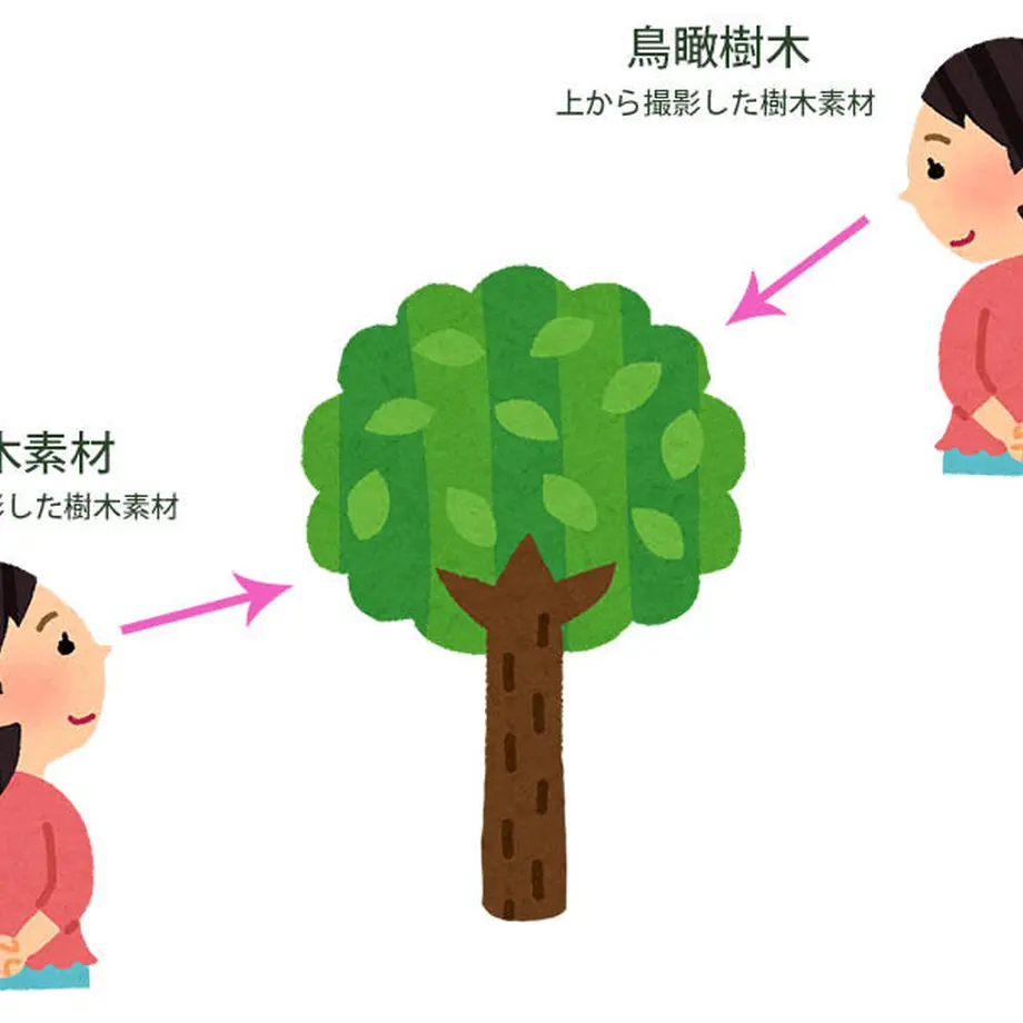 5baa085d5496ff648e00059b