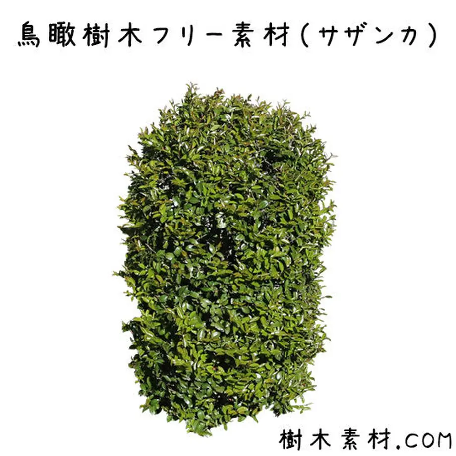 5bbec4a250bbc301750000b8