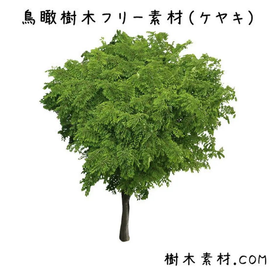 5bbec429ef843f4e53000082