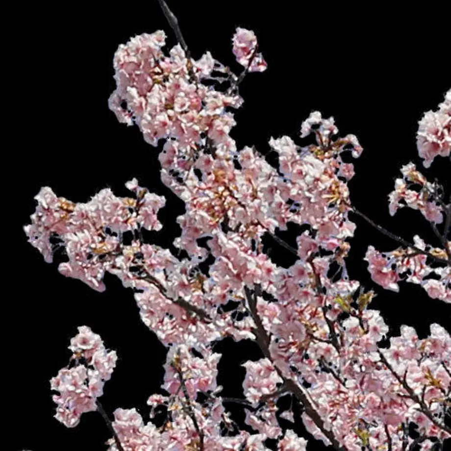 5b7058895496ff3953000445