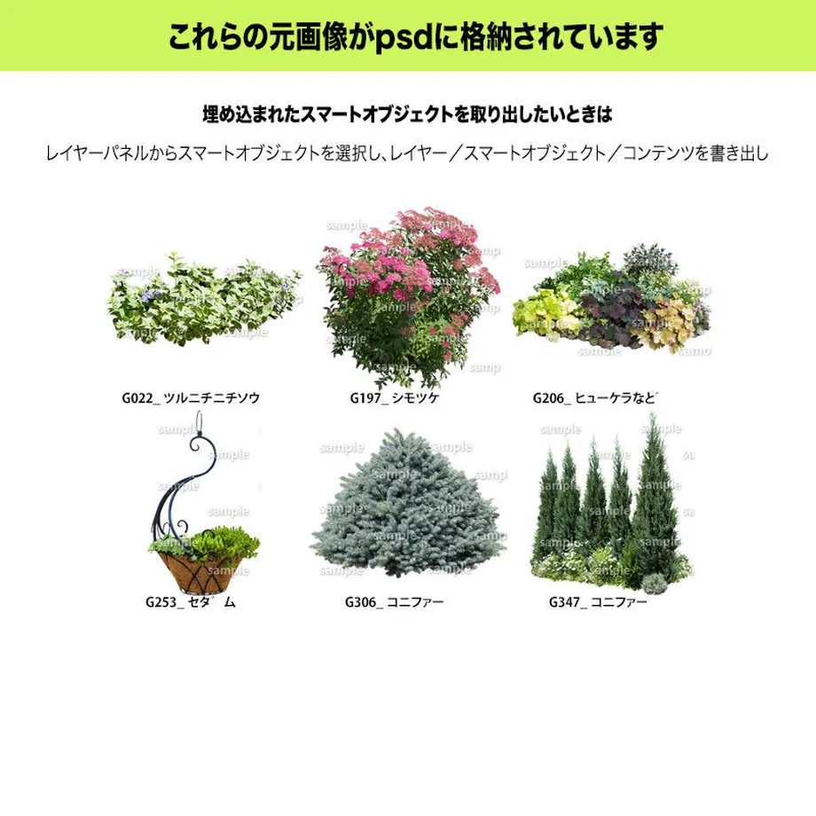 5c7fb5646a41ea6f8b95a13c