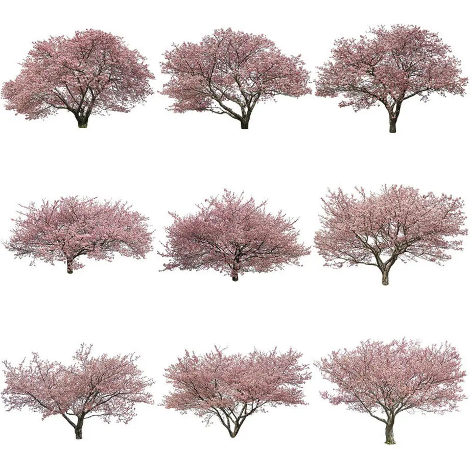 5b7057d15f7866129800035a
