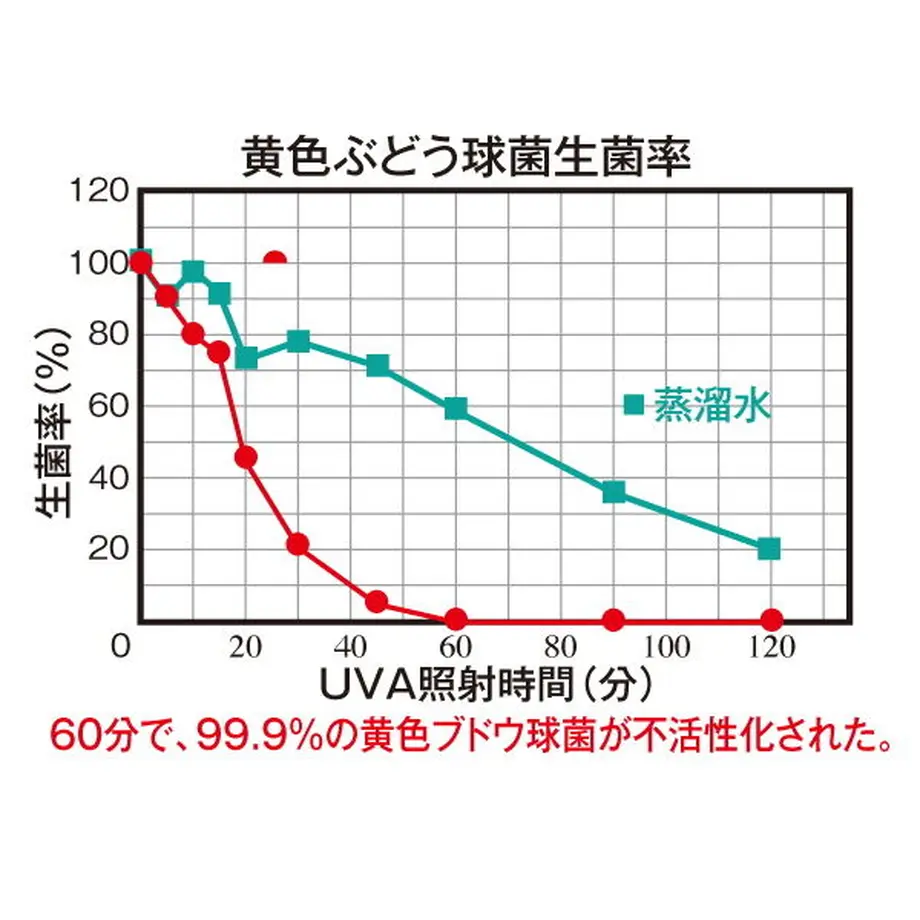 6115db19e50c0b2b015b40d0
