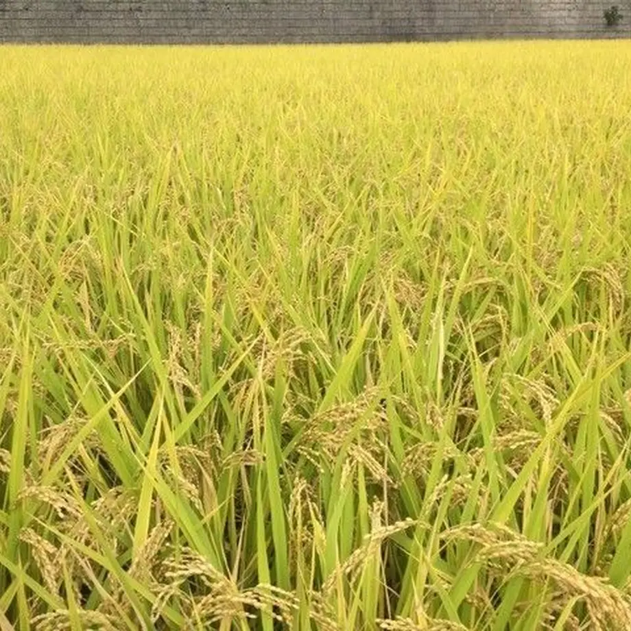 5bb244dc5496ff72c8000658