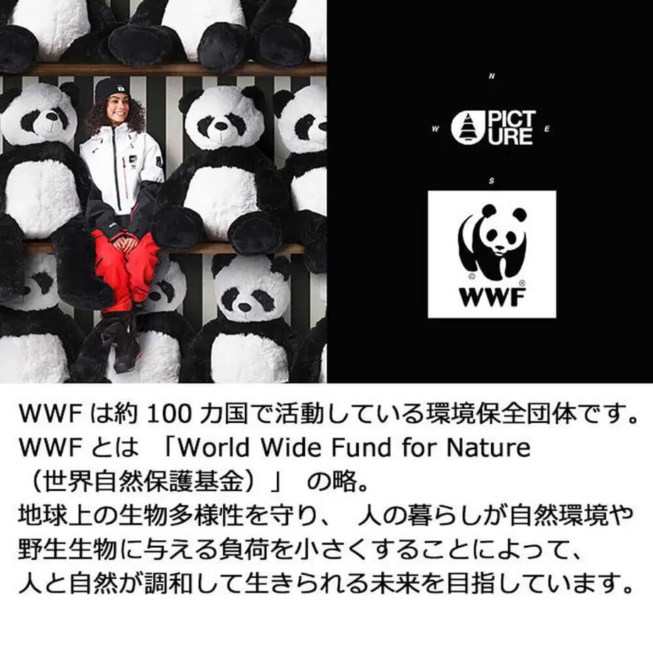 5f8e72a23313d247d5894b5c