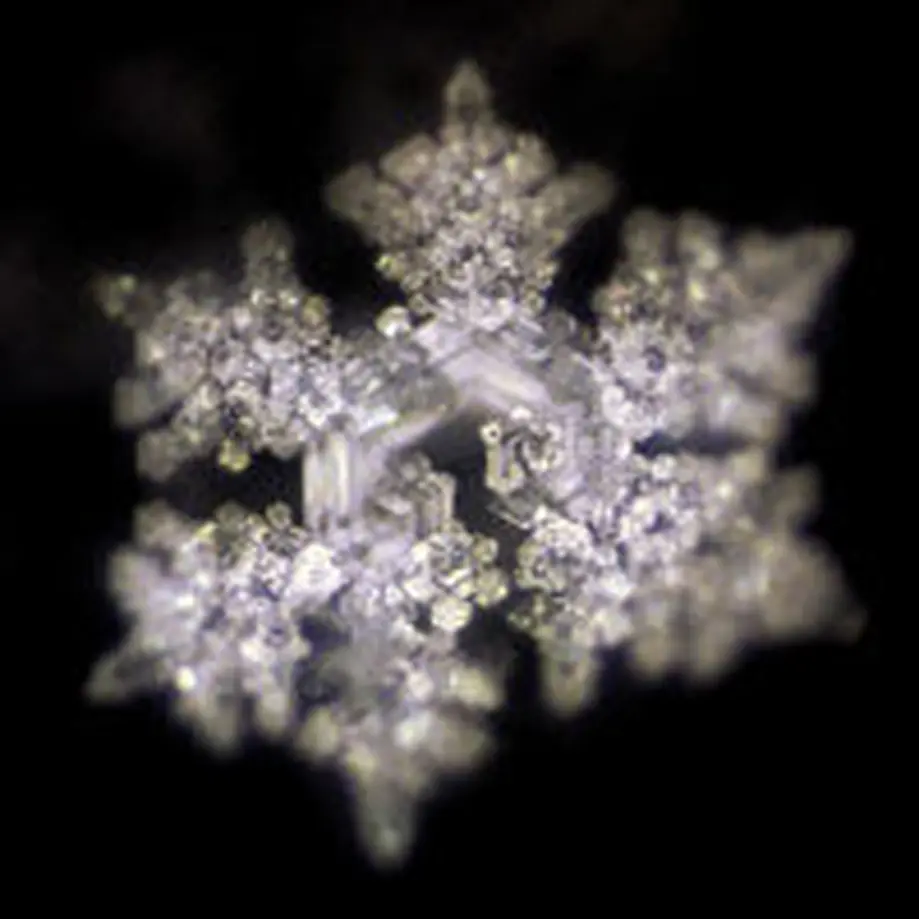 600c09ce6728be56b6fdf310