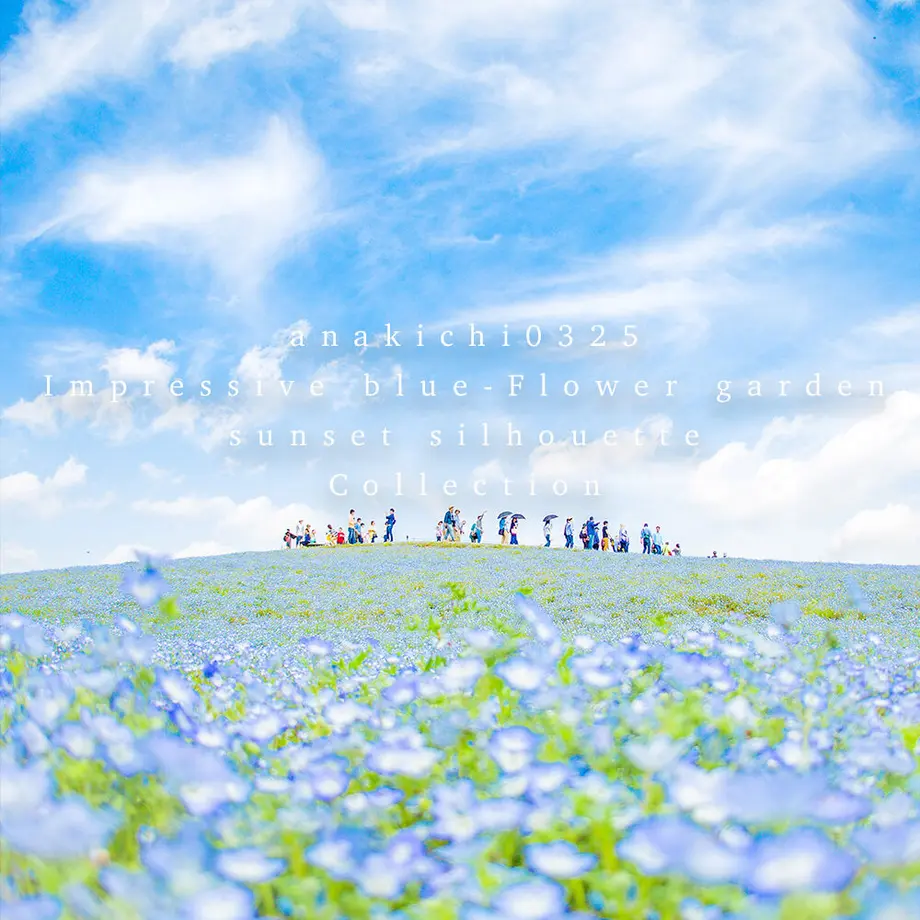 5fe43b938a4572039dc8ab01