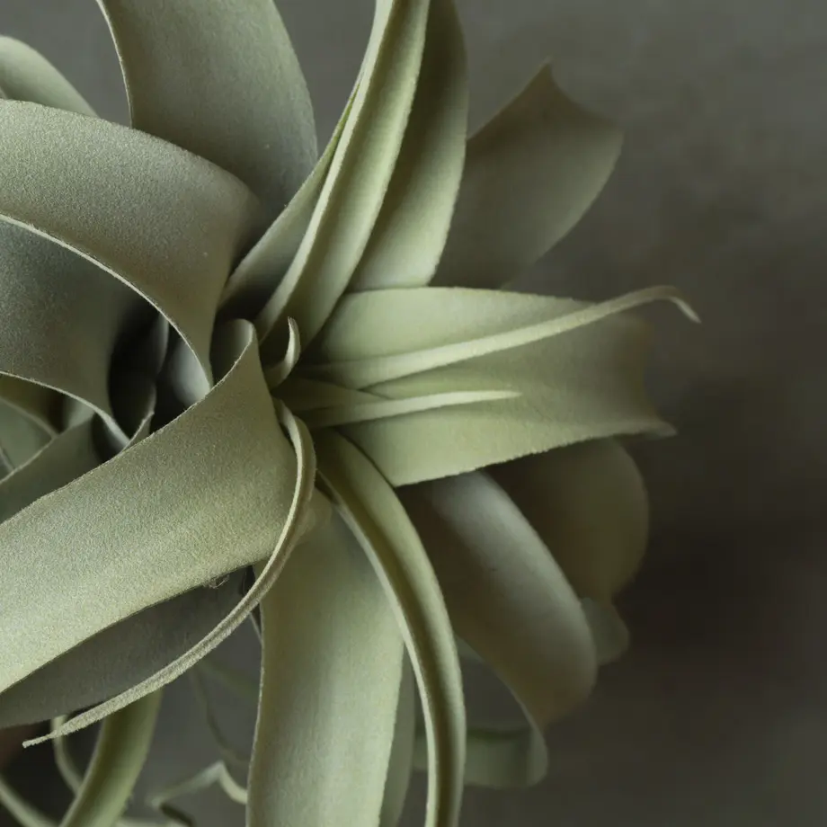 6142d771230557480337aae1