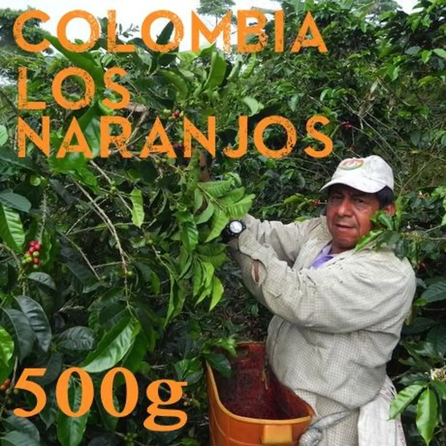 54ccc31bef3377723c00115a