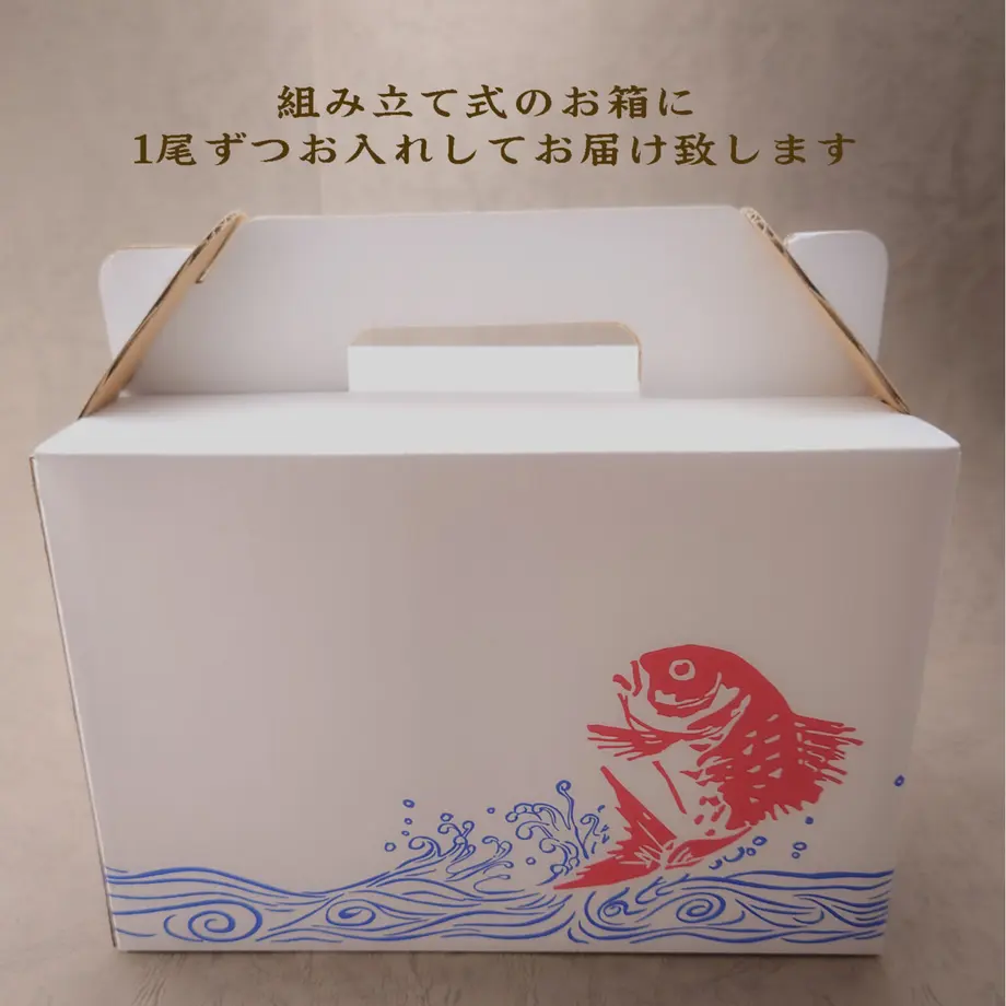 616ed3134e80823f85f5f3bc