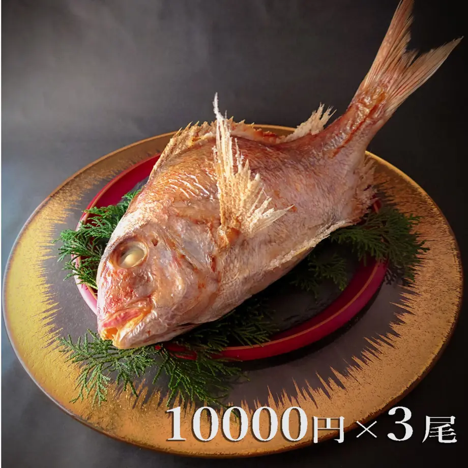 616f67cf3303782480e02ae9