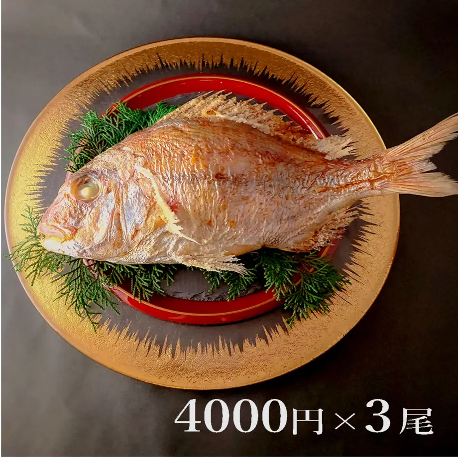 616ed1dc0c9846203d6cdb2b