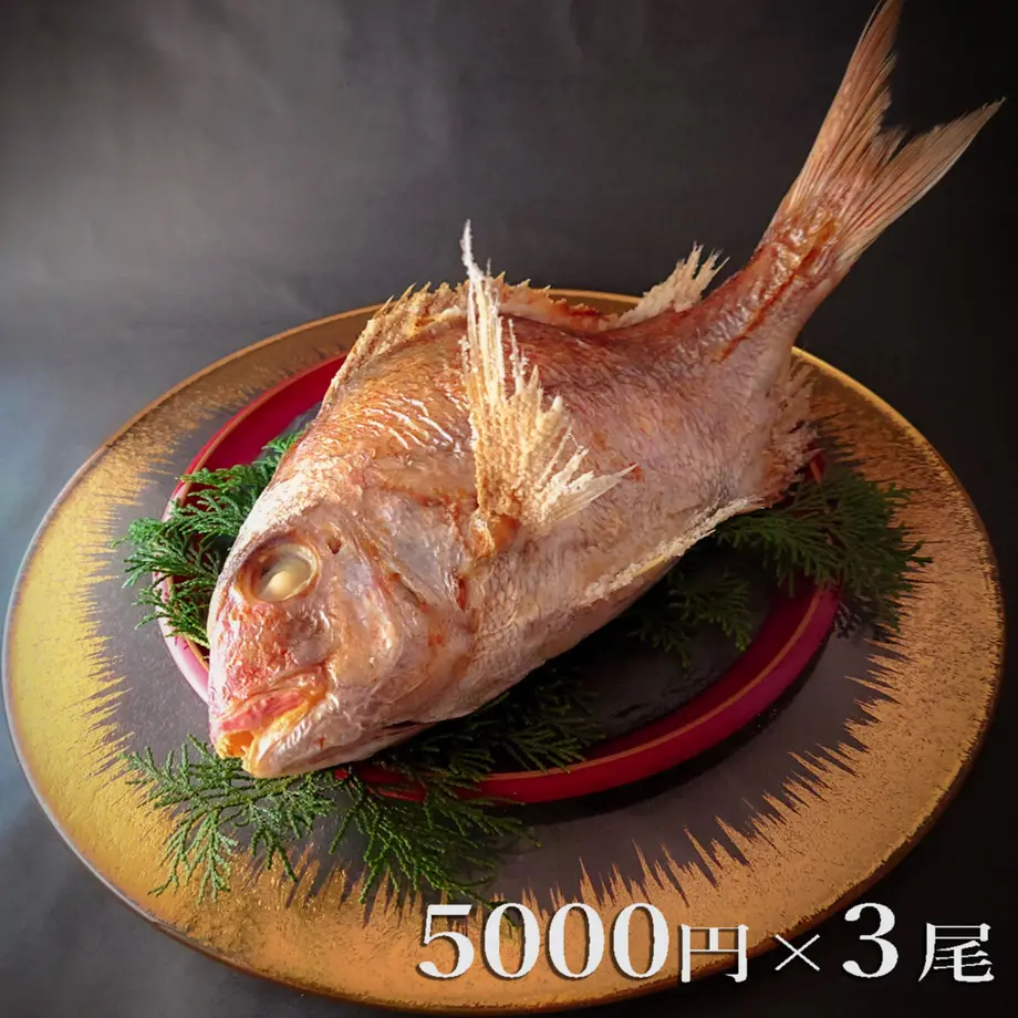 616ed9b30548e055f6ef1a20