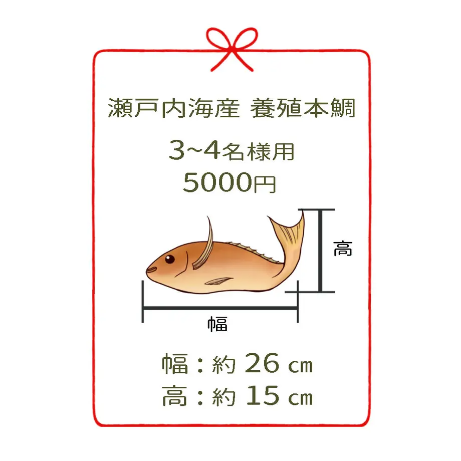 616ed9b30548e055f6ef1a20